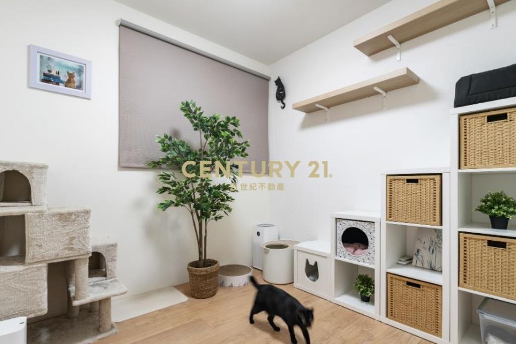 龍安特區昭揚家三房車