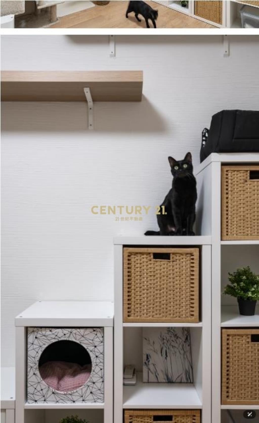 龍安特區昭揚家三房車