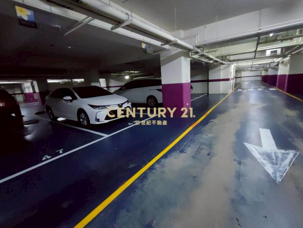 獨賣水芭蕾經典兩房車