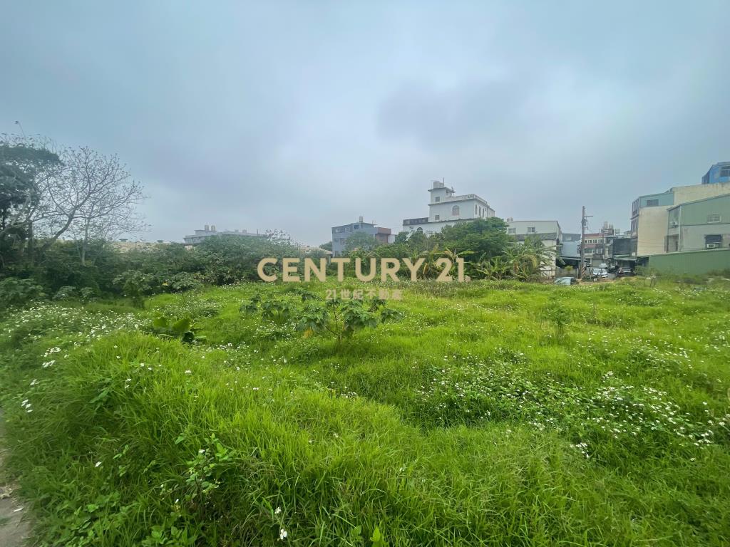 過嶺草莓學校7米路旁方正農地