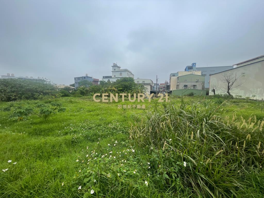 過嶺草莓學校7米路旁方正農地