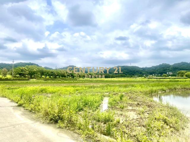 新埔九芎湖風景區7米雙路角地