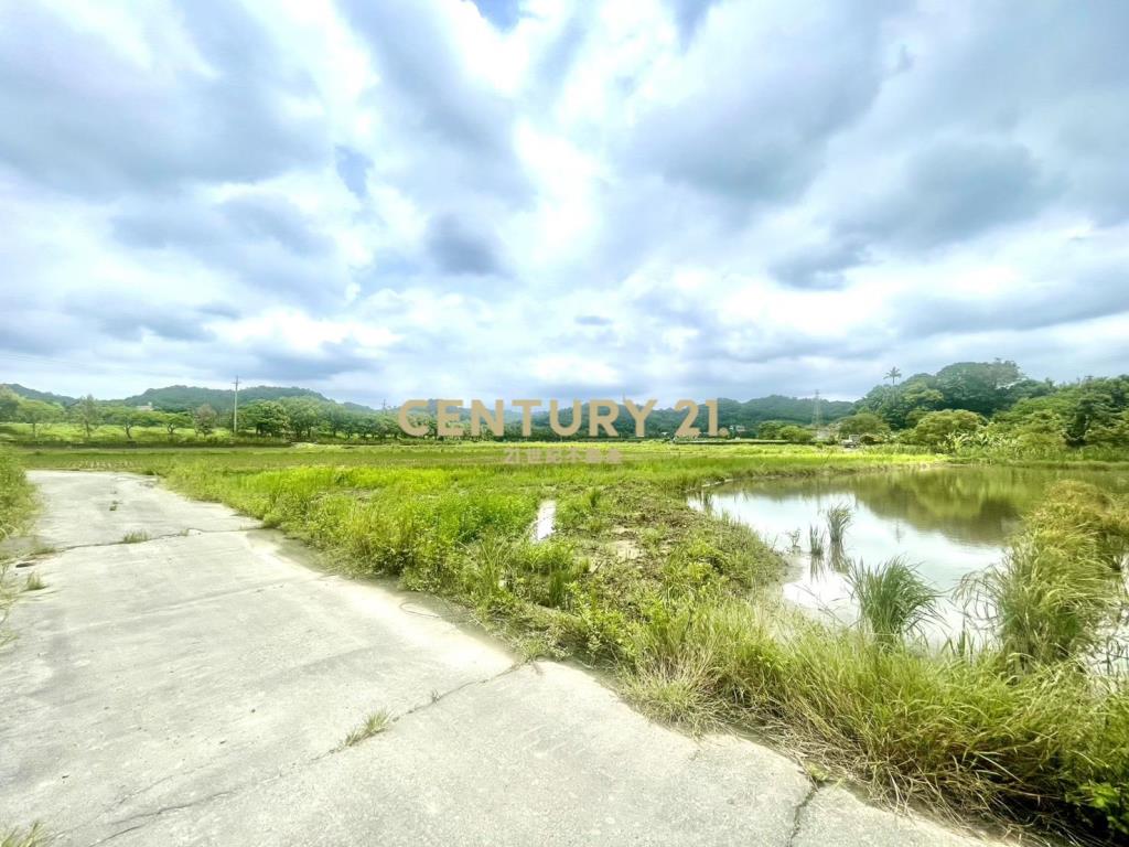 新埔九芎湖5分鐘7米路漂亮農地