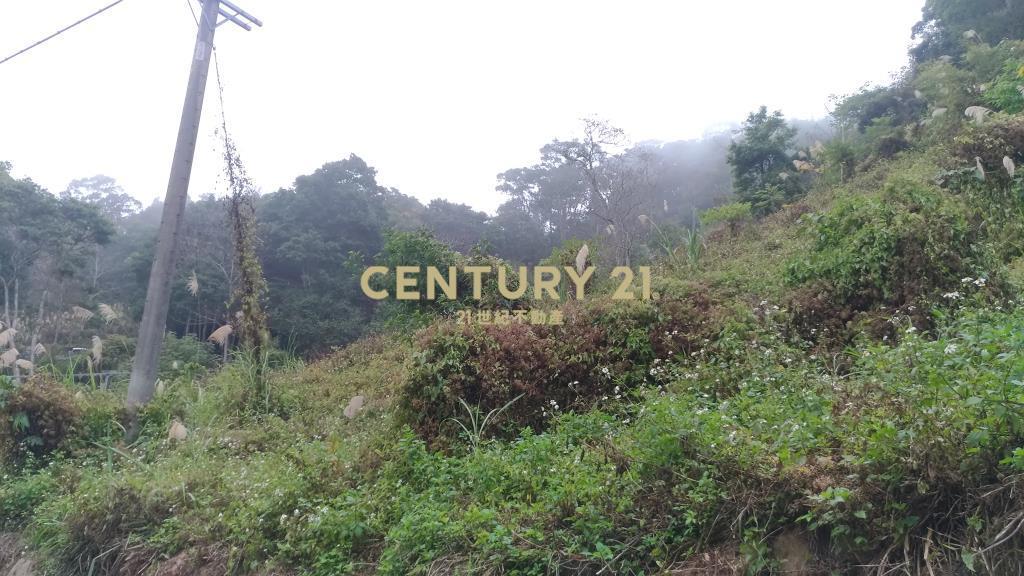 苗栗北河美農地