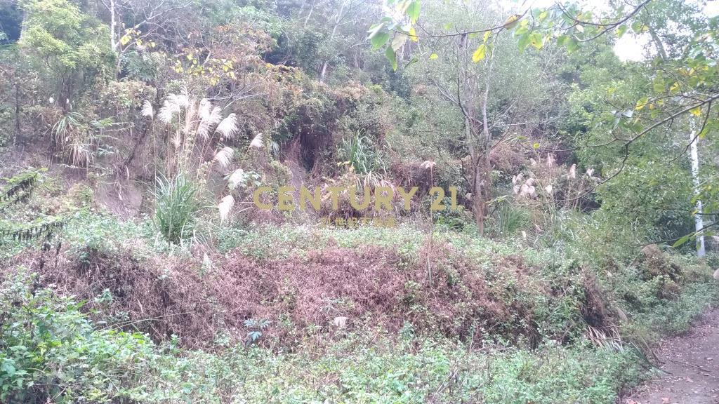 苗栗北河美農地