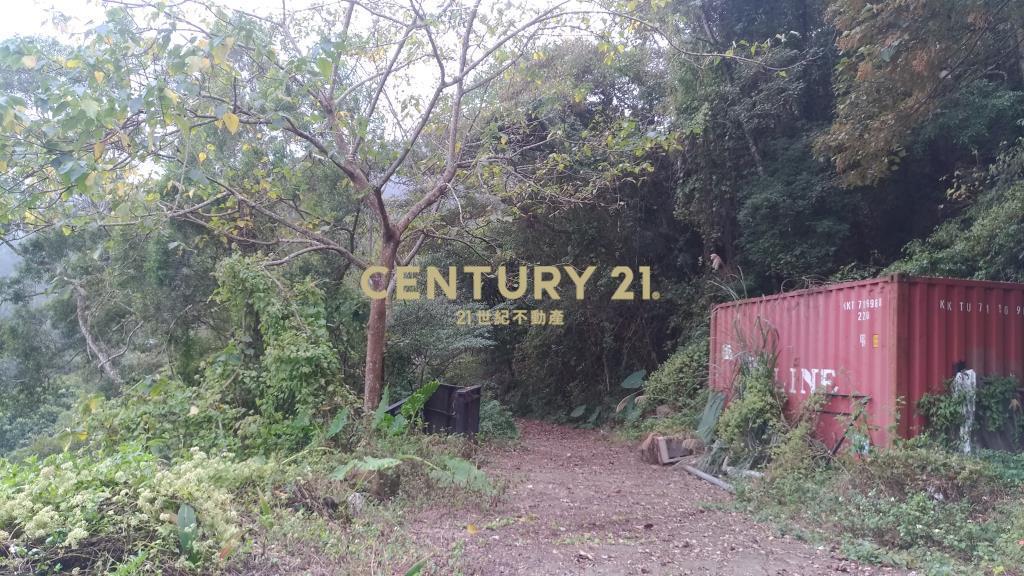 苗栗北河美農地