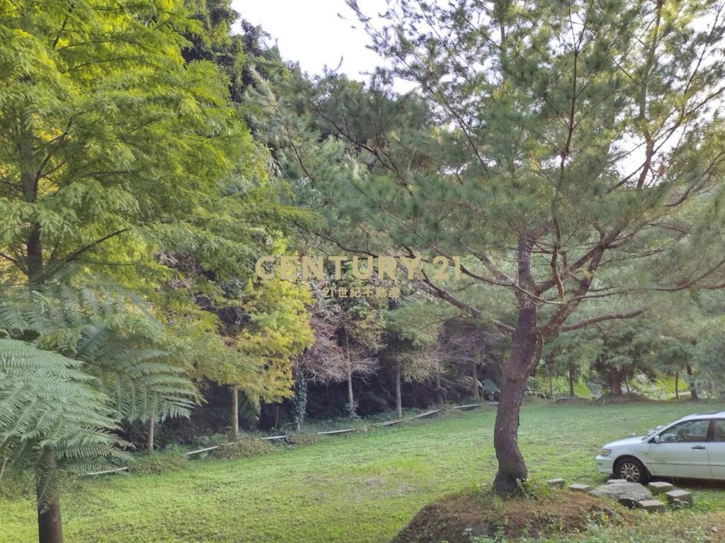 苗栗公館美農林地