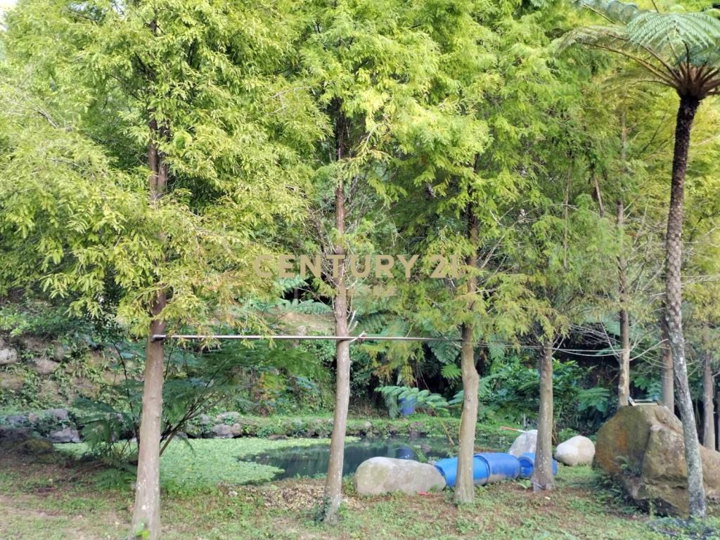 苗栗公館美農林地