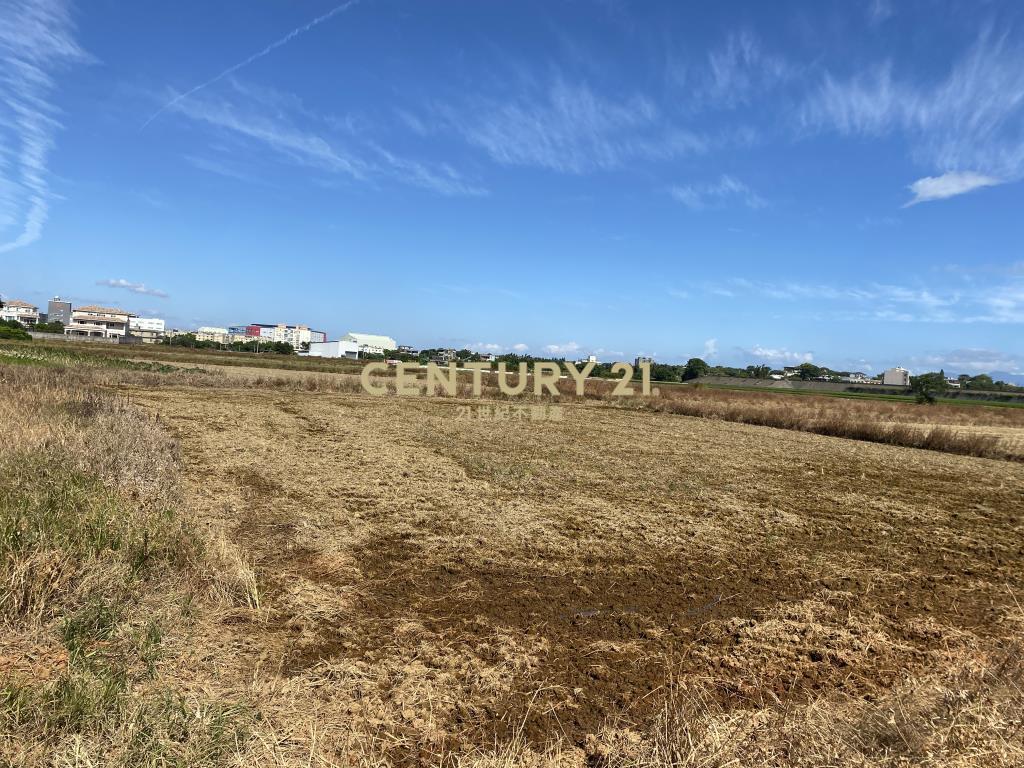 楊梅永豐餘紙廠旁特農