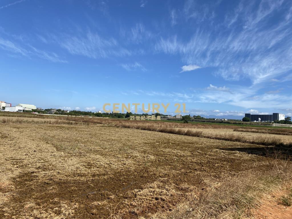 楊梅永豐餘紙廠旁特農