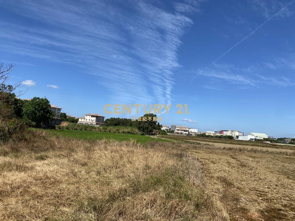 楊梅永豐餘紙廠旁特農