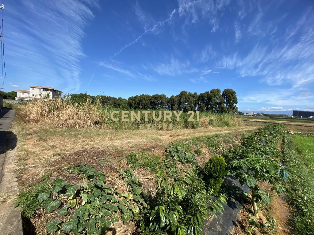 楊梅永豐餘紙廠旁特農