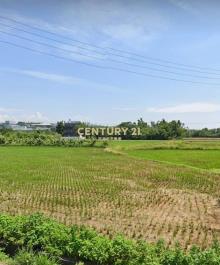 近富岡國中小坪數6米美農地+合法資材室