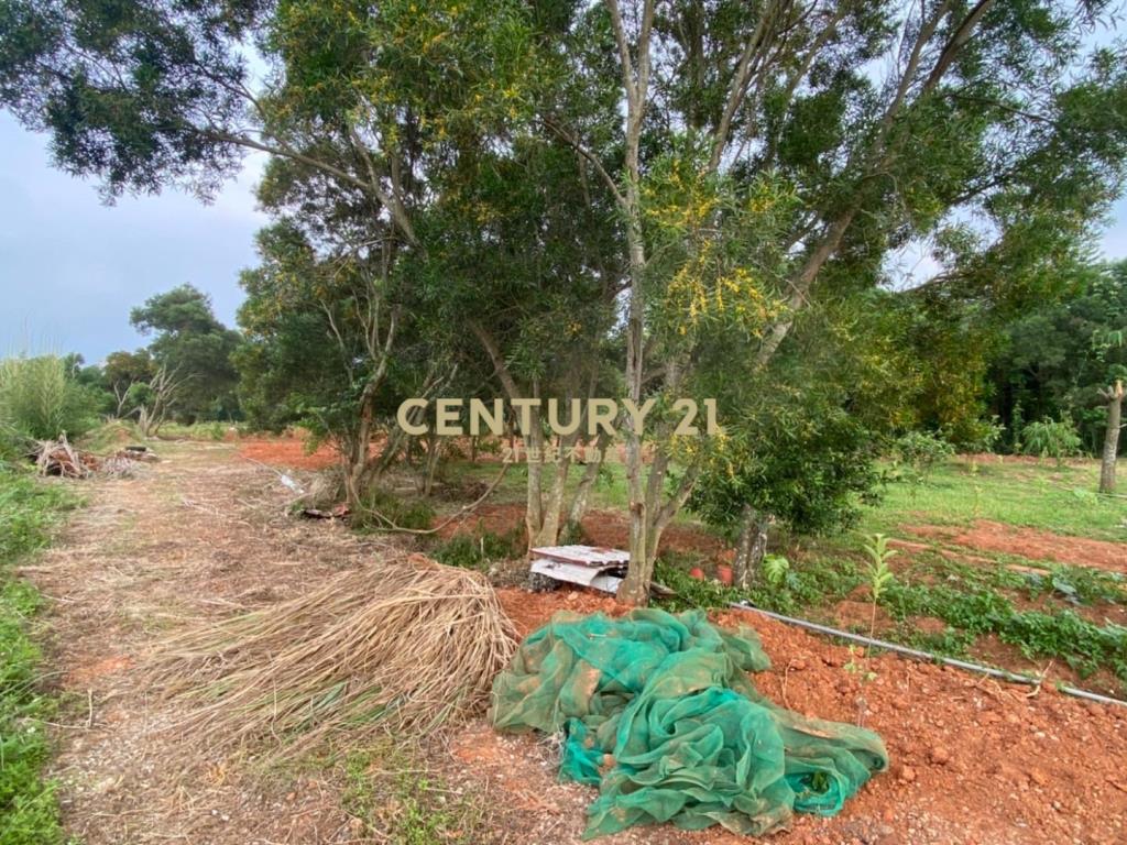 平鎮南勢都計農(B)