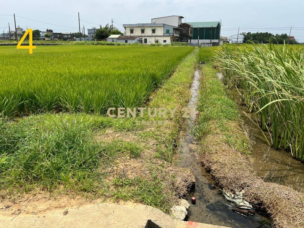新屋區大面寬三面臨路農地-近望間活動中心
