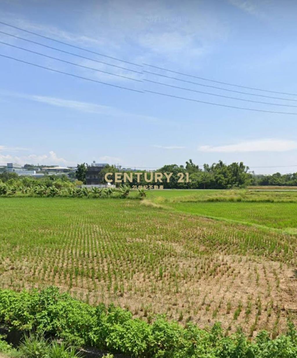 新屋區後湖小段低總價美田