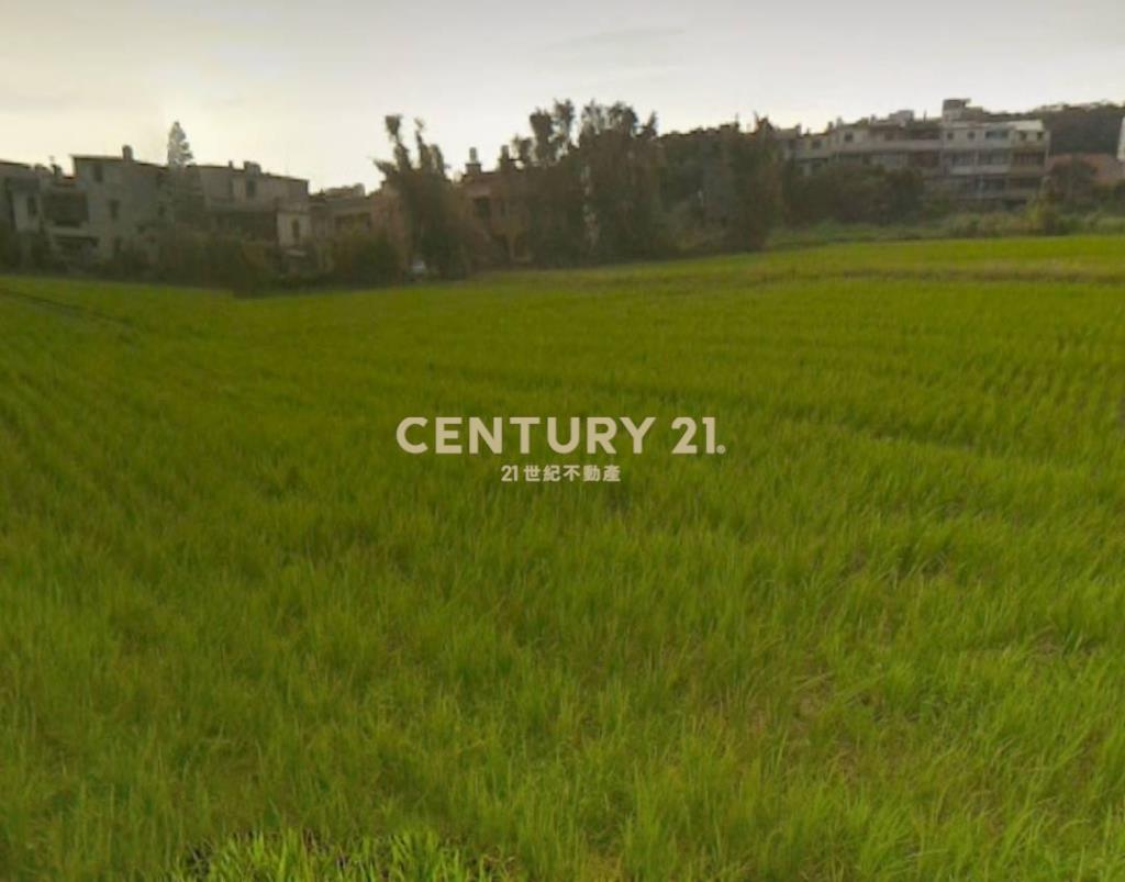 新屋區後湖小段低總價美田