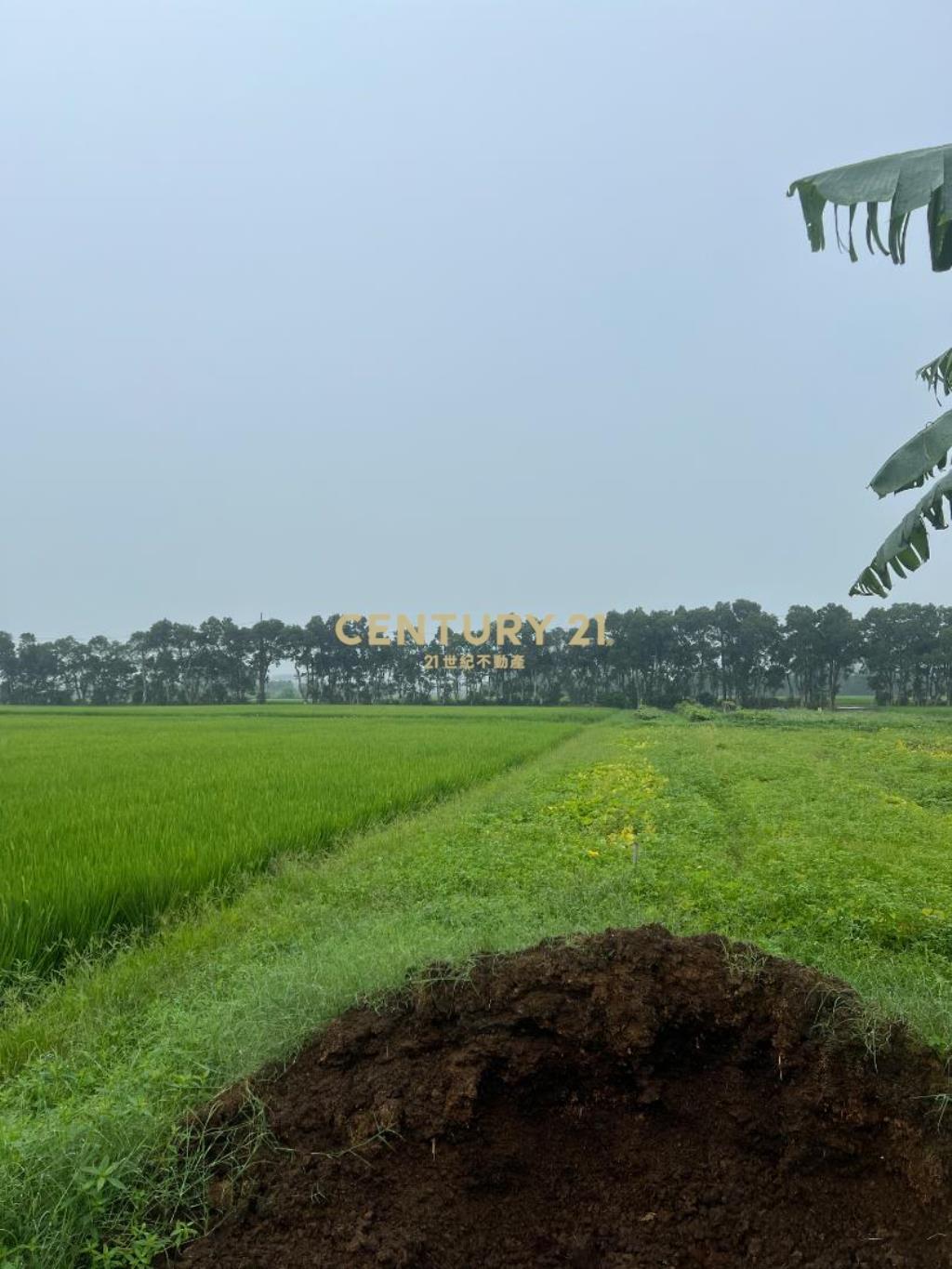 新屋市區雙面路美農地