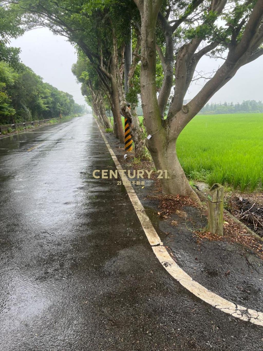 新屋市區雙面路美農地