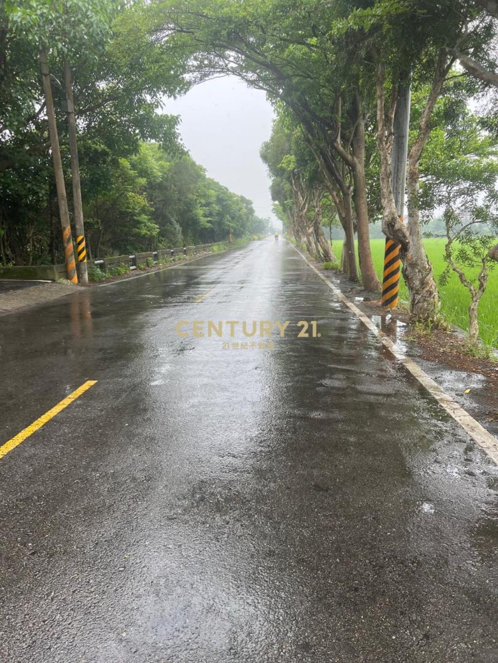 新屋市區雙面路美農地