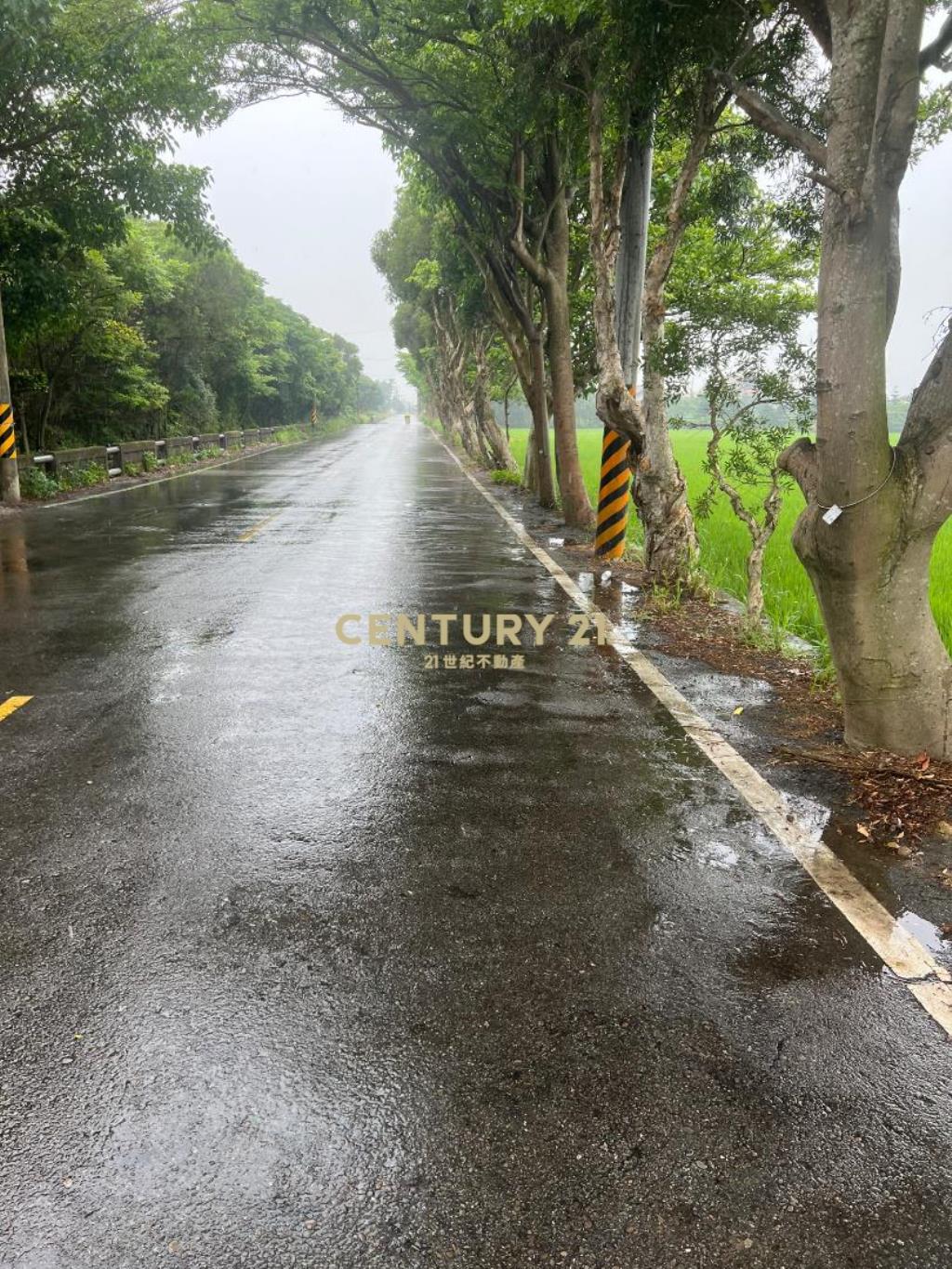 新屋市區雙面路美農地