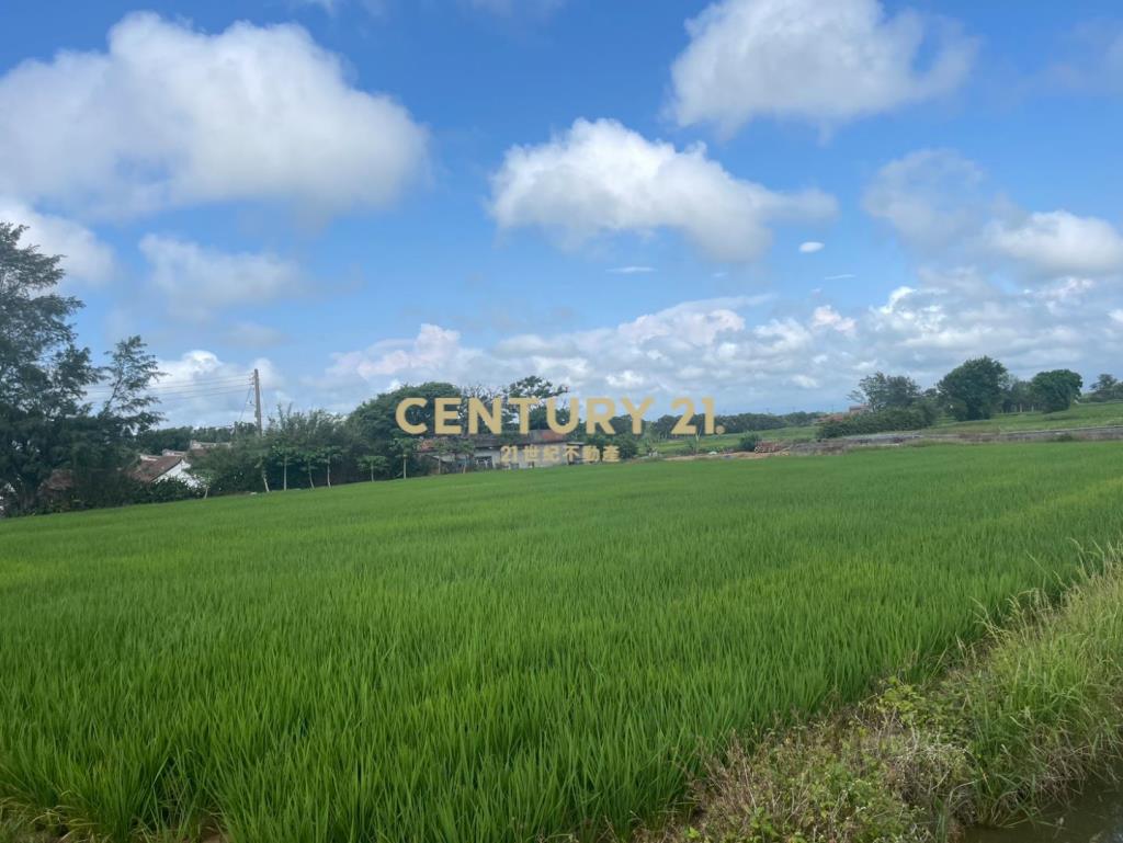 新屋近保安路便宜農地