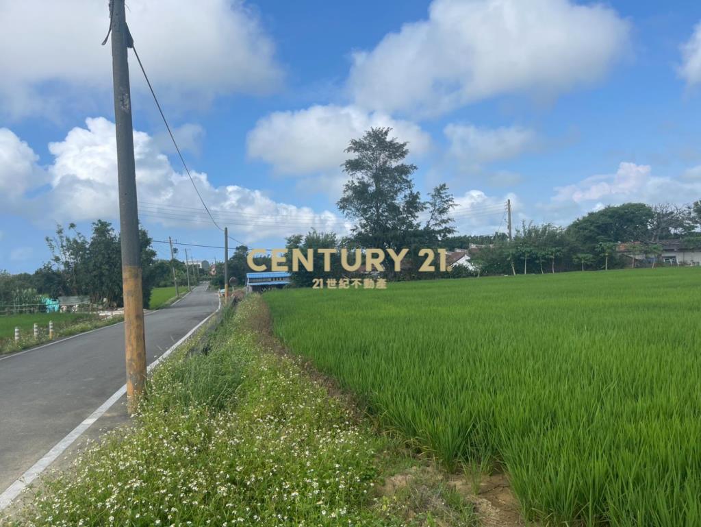 新屋近保安路便宜農地