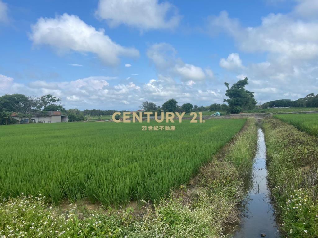 新屋近保安路便宜農地