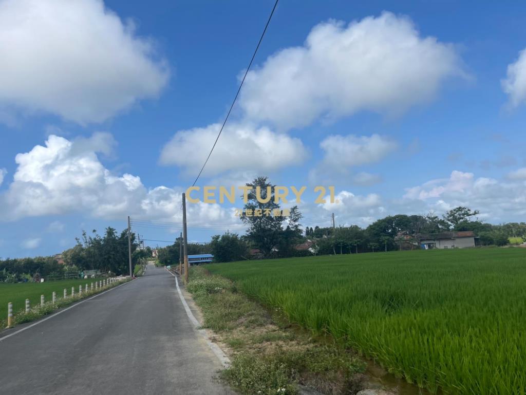 新屋近保安路便宜農地