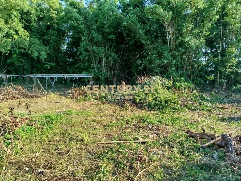 公館交流道旁美都計內農地