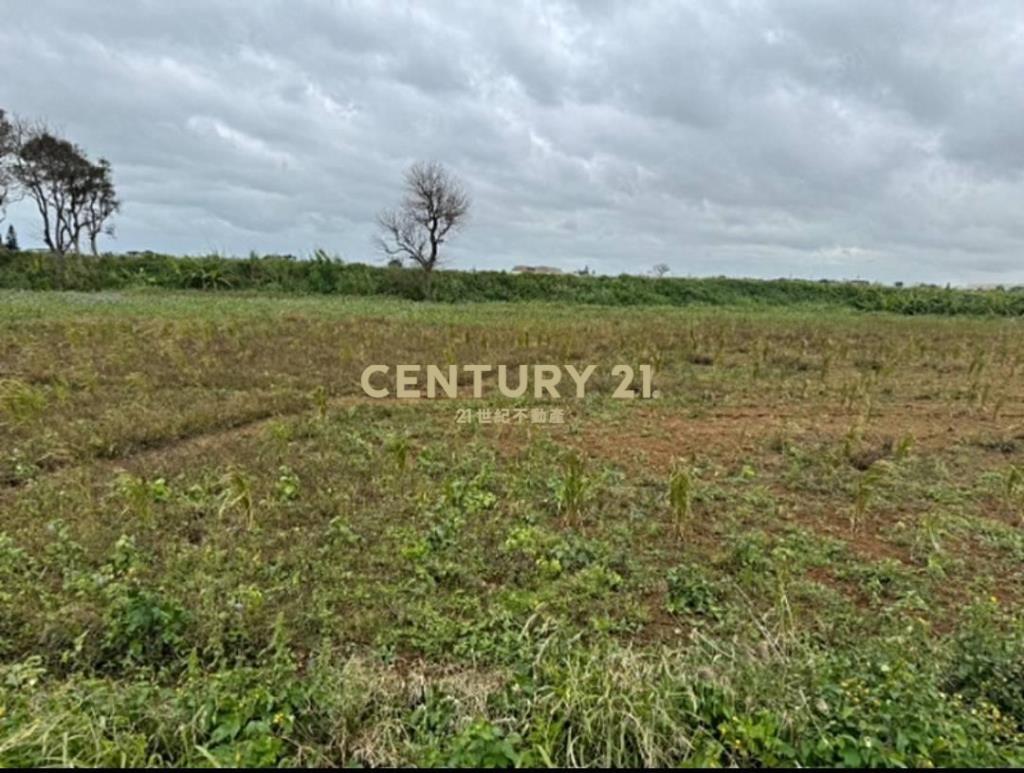 新屋石磊子段水流小段近66方正美田