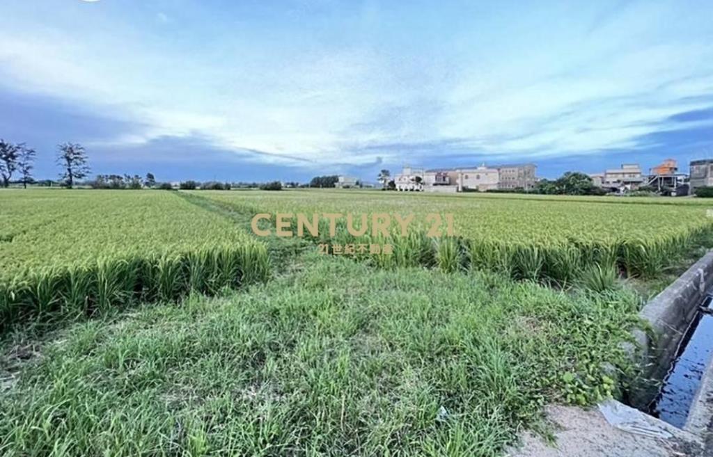 新屋近永安漁港一般美田