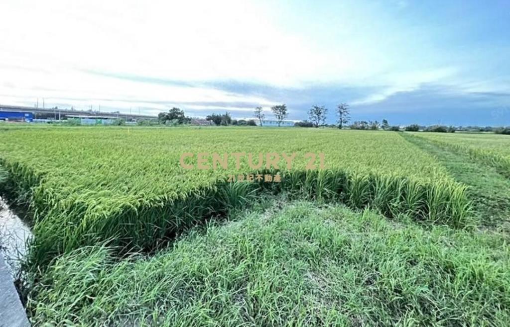 新屋近永安漁港一般美田