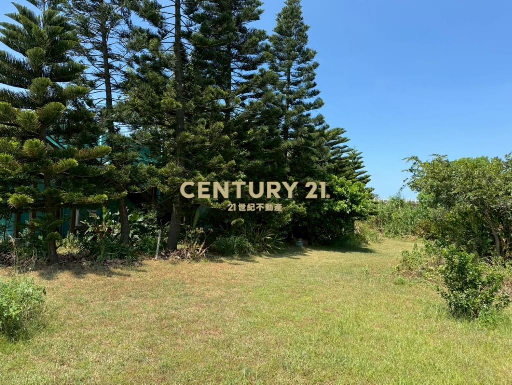 新屋61快速道路旁-合法資材室農園