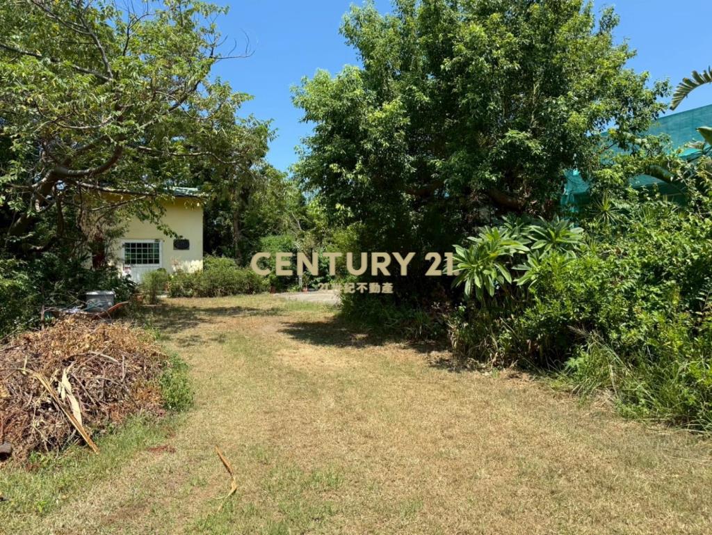 新屋61快速道路旁-合法資材室農園