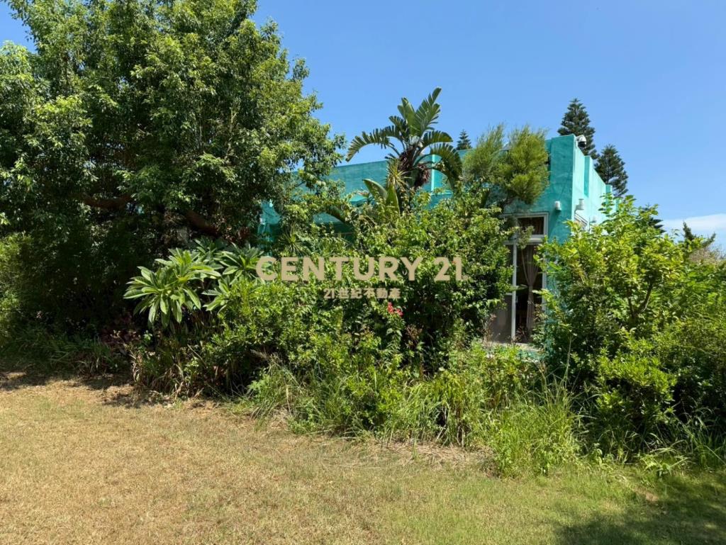 新屋61快速道路旁-合法資材室農園