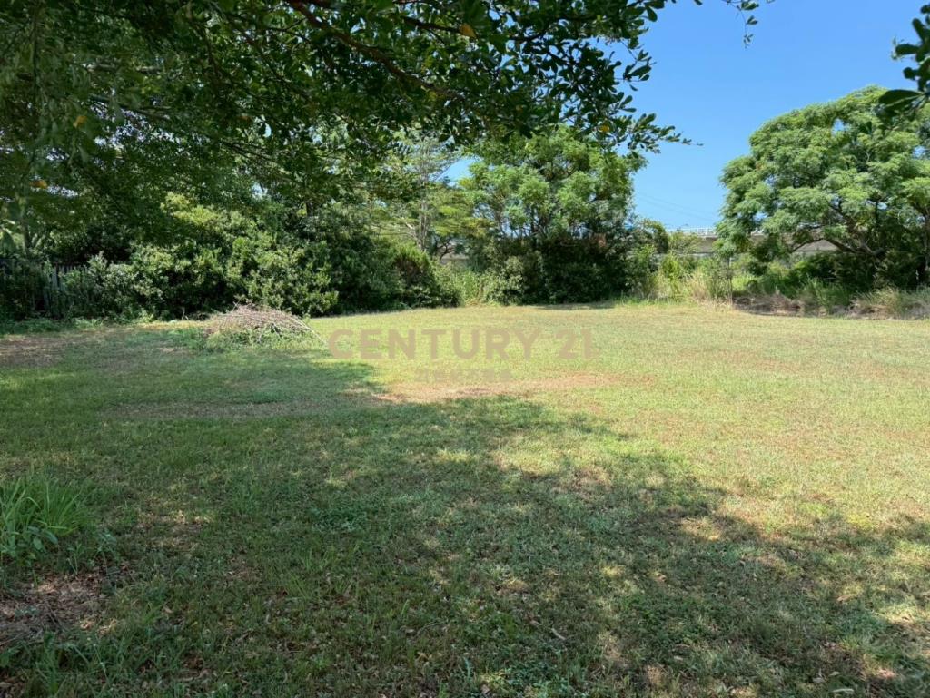新屋61快速道路旁-合法資材室農園