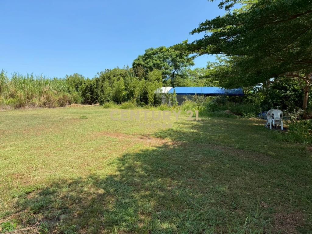 新屋61快速道路旁-合法資材室農園