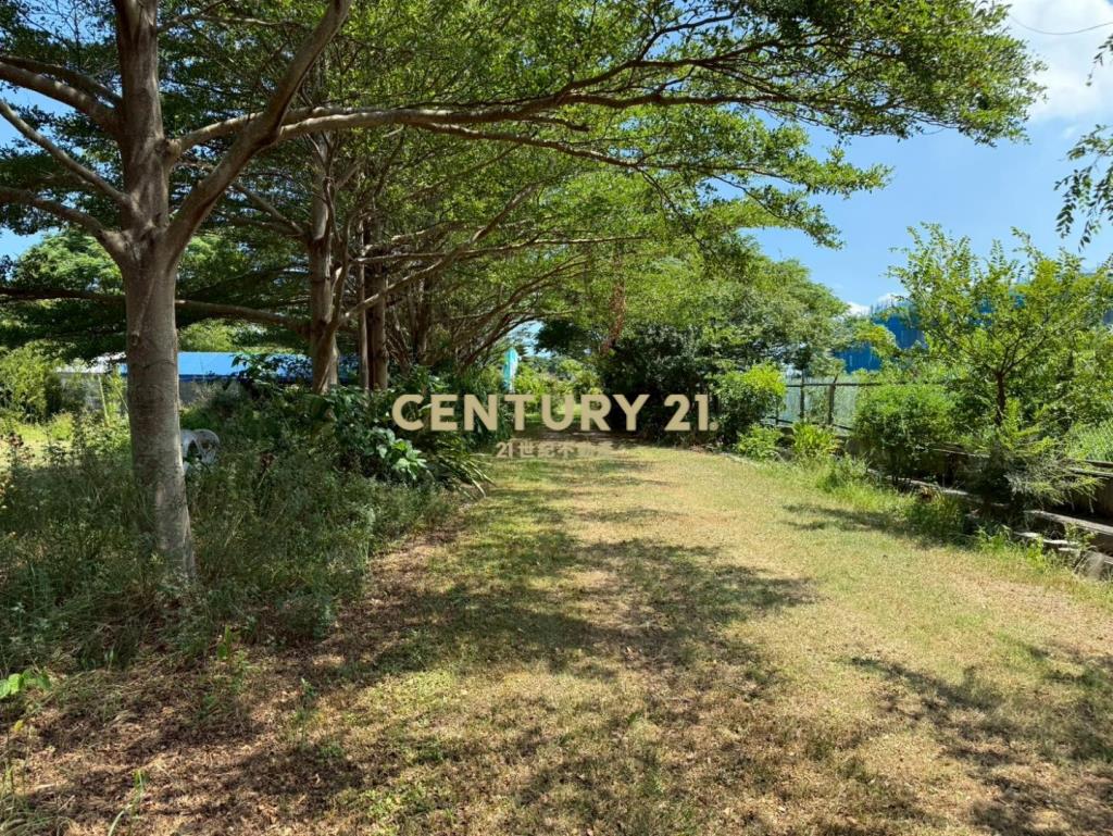 新屋61快速道路旁-合法資材室農園