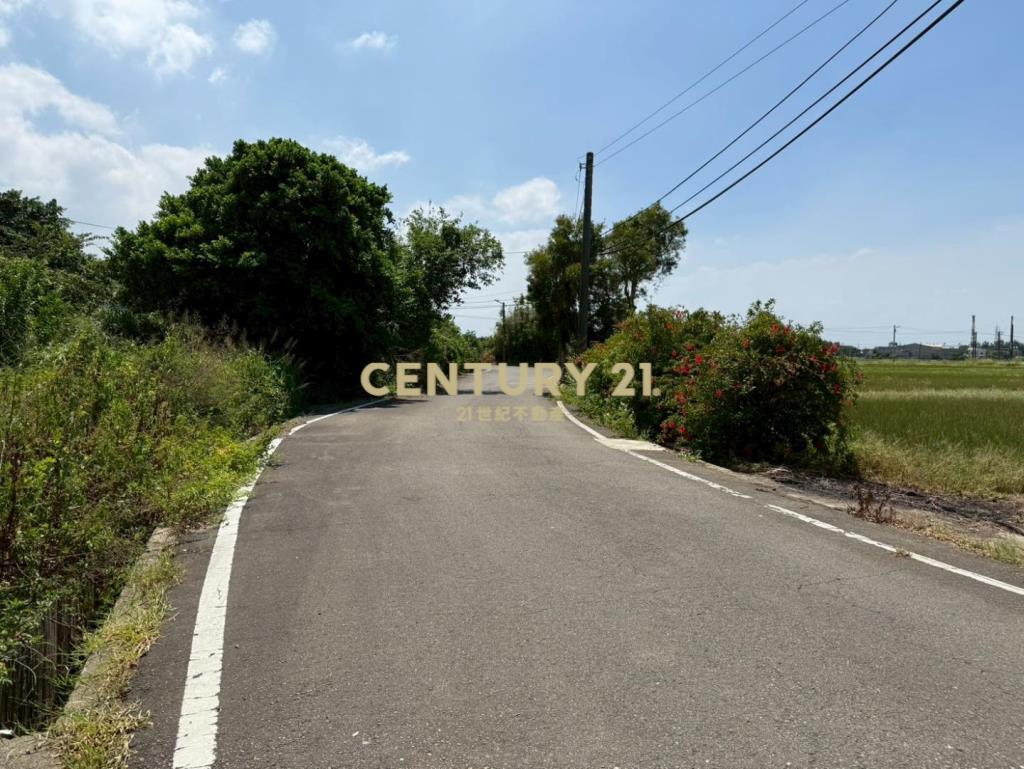 新屋61快速道路旁-合法資材室農園