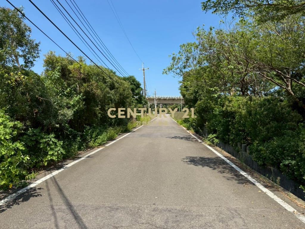 新屋61快速道路旁-合法資材室農園