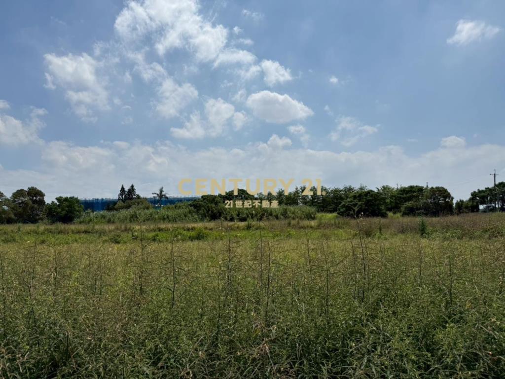 新屋61快速道路旁-合法資材室農園