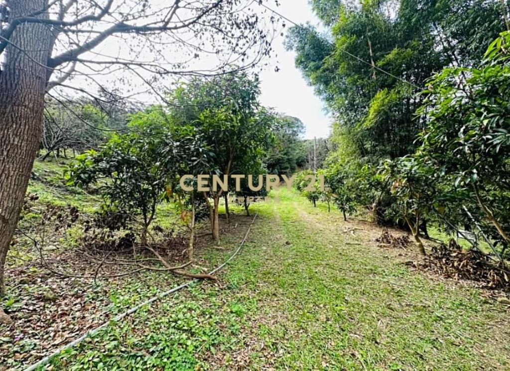 龜山-省道旁★新嶺山步道★丙建+農牧地