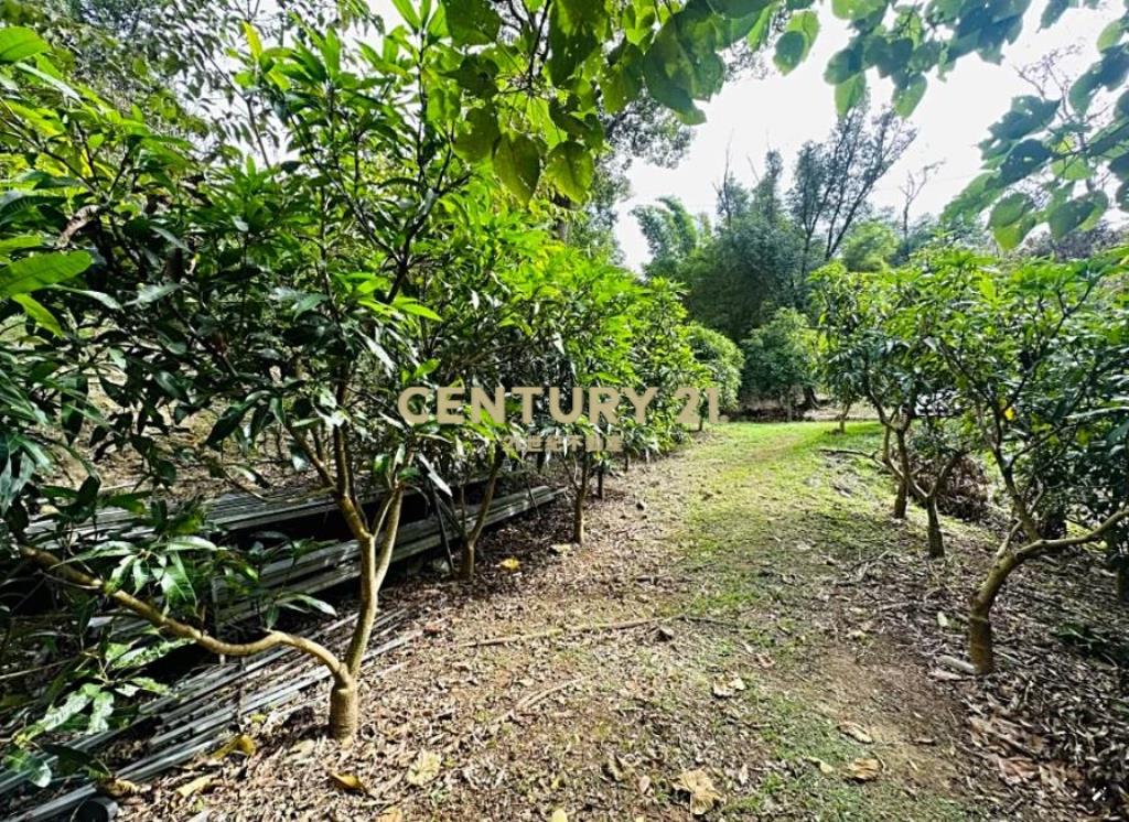 龜山-省道旁★新嶺山步道★丙建+農牧地