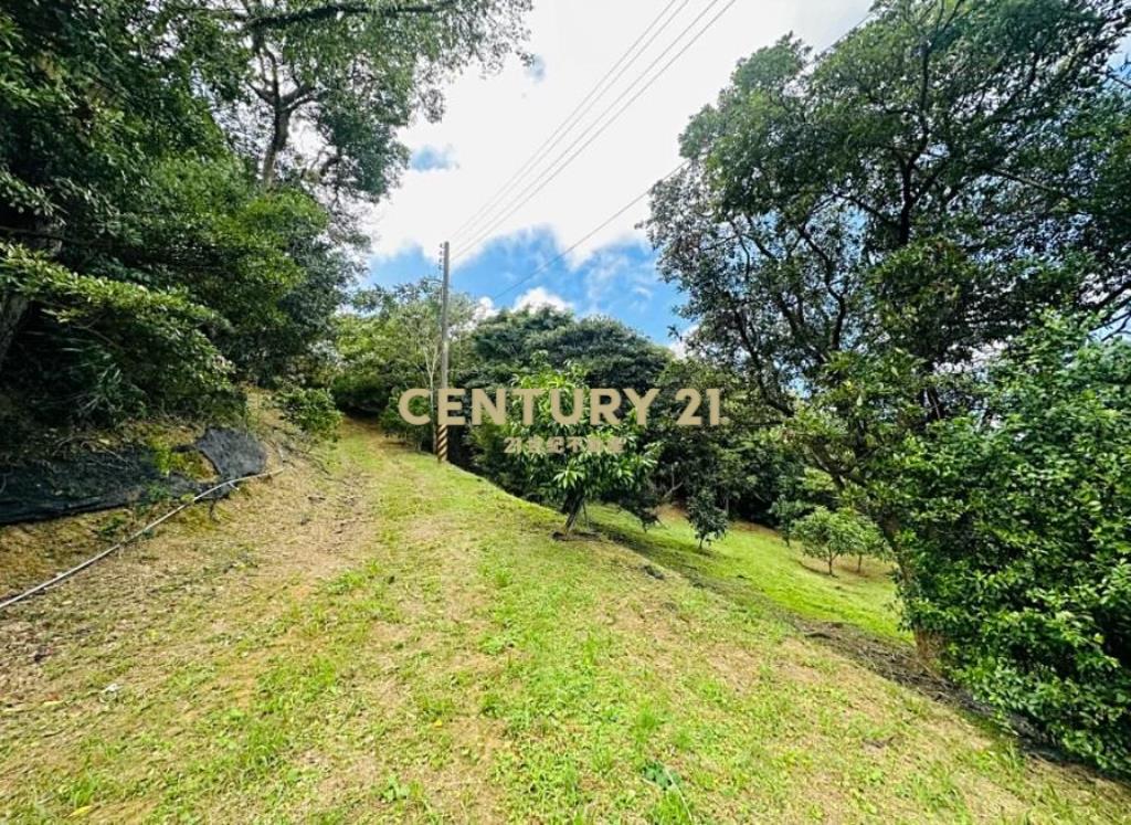 龜山-省道旁★新嶺山步道★丙建+農牧地