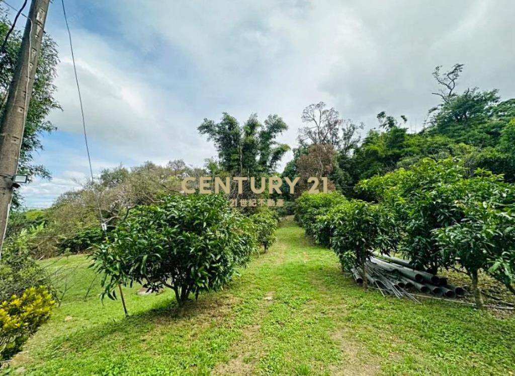 龜山-省道旁★新嶺山步道★丙建+農牧地