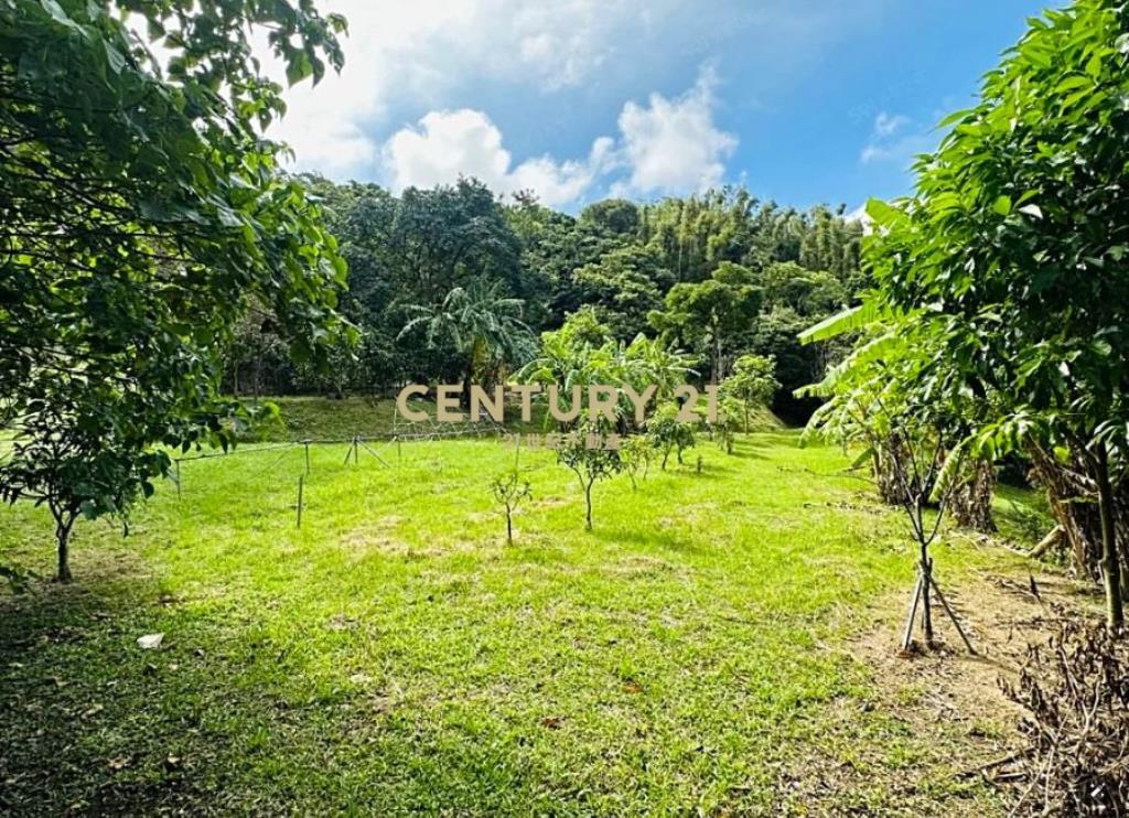 龜山-省道旁★新嶺山步道★丙建+農牧地