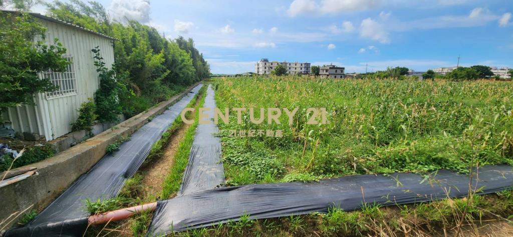 湖口鄉優品美農+合法資材室(B)