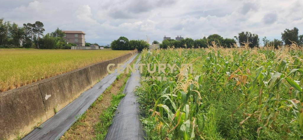 湖口鄉優品美農+合法資材室(B)