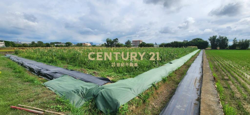 湖口鄉優品美農+合法資材室(B)